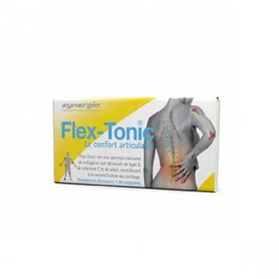 SYNERGIA Flex-tonic 45 comprimés